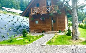 Leśny Domek